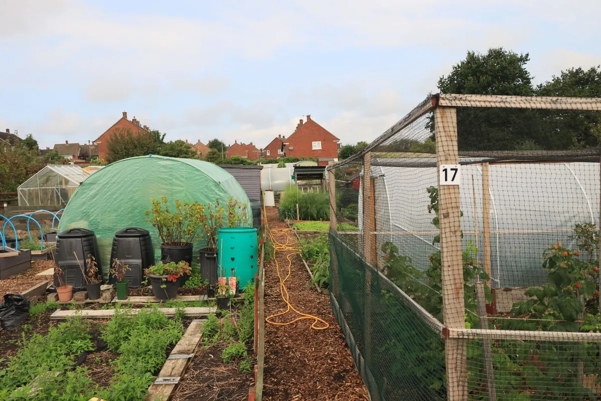 The Beginner's Guide to Allotment Gardening in the UK